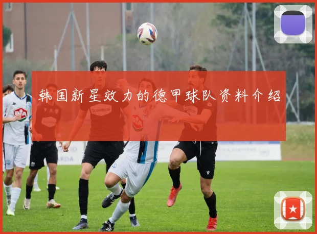韩国新星效力的德甲球队资料介绍