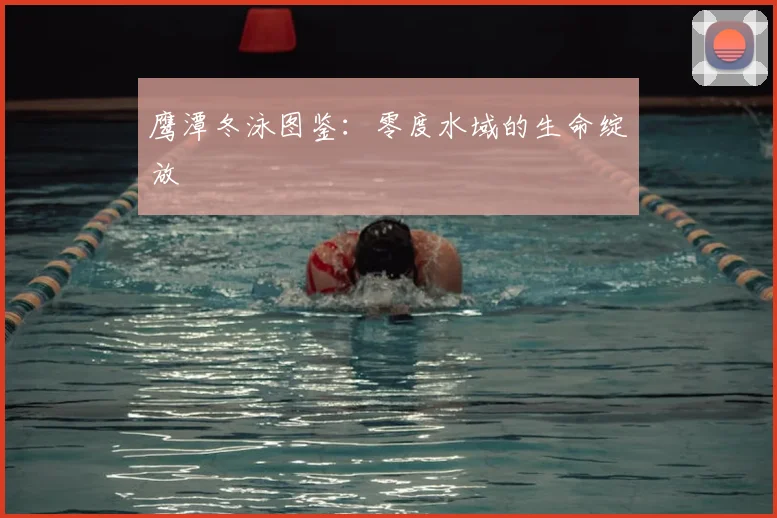鹰潭冬泳图鉴:零度水域的生命绽放