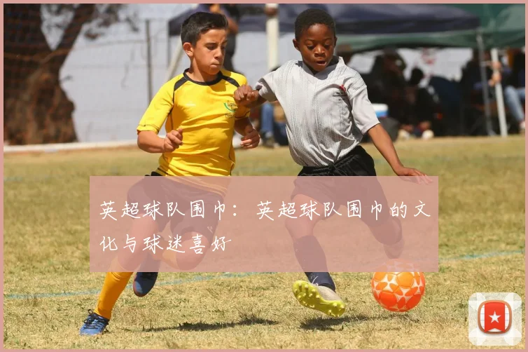 英超球队围巾:英超球队围巾的文化与球迷喜好