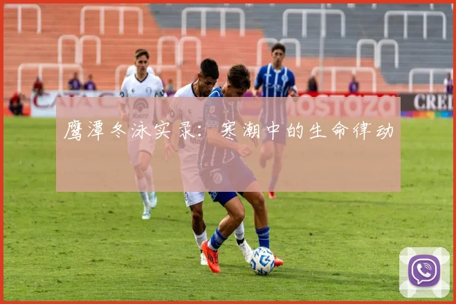 鹰潭冬泳实录:寒潮中的生命律动