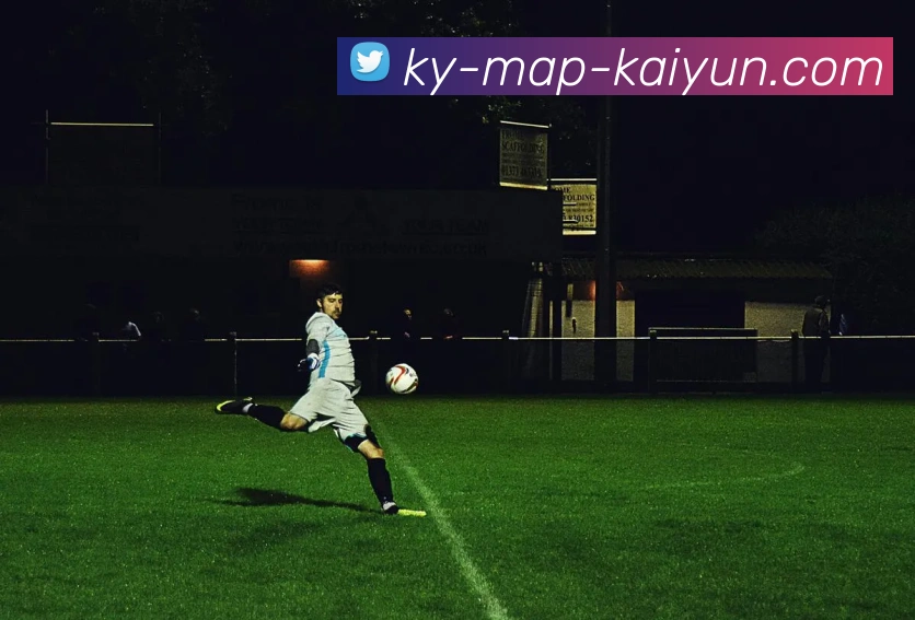 开云平台生态图